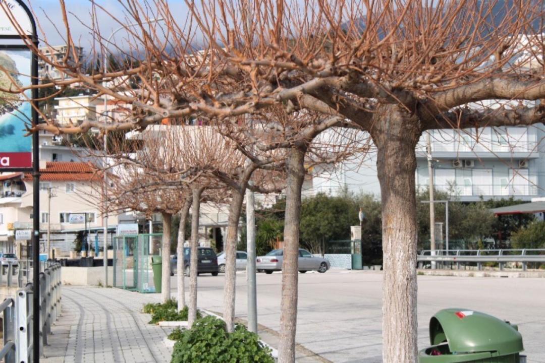 Hotel Portokali Himare Bagian luar foto